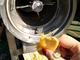 Controllo elettronico della macchina utensile 5T/H Schneider del mango e dell'ananas