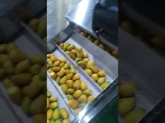 snocciolatore del seme della macchina del raffinatore del mango