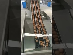 macchine per la frantumazione di uova di tipo verticale