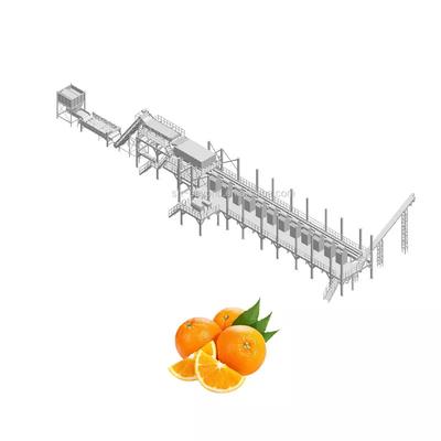 Linea di produzione industriale di succo di agrumi d'arancia automatica