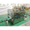 Linea di produzione automatica completa degli spremiagrumi della frutta acciaio inossidabile SUS304