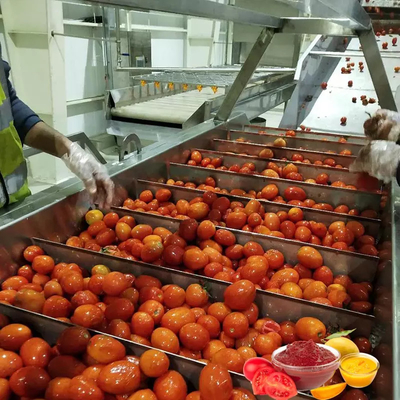 Commerciale della linea di produzione del ketchup del pomodoro della pasta della salsa