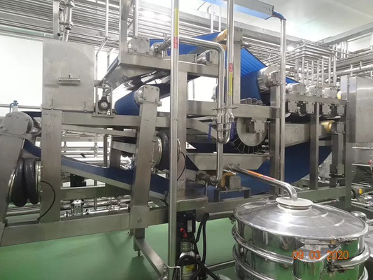 Linea di lavorazione del cetriolo su misura Completa Impianto di produzione di sedano / kale / cetriolo attrezzature chiavi in mano per l'industria ortofrutticole