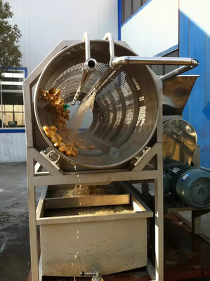Linea di lavorazione del cetriolo su misura Completa Impianto di produzione di sedano / kale / cetriolo attrezzature chiavi in mano per l'industria ortofrutticole