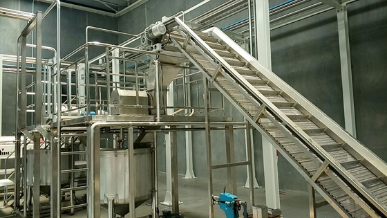 Linea di lavorazione del cetriolo su misura Completa Impianto di produzione di sedano / kale / cetriolo attrezzature chiavi in mano per l'industria ortofrutticole