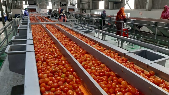 Vendita a caldo Completo Impianto di produzione di pomodori su misura Nuova macchina di lavorazione di omate/suco di pomodori/salsa/pulpa con PLC SUS304/316