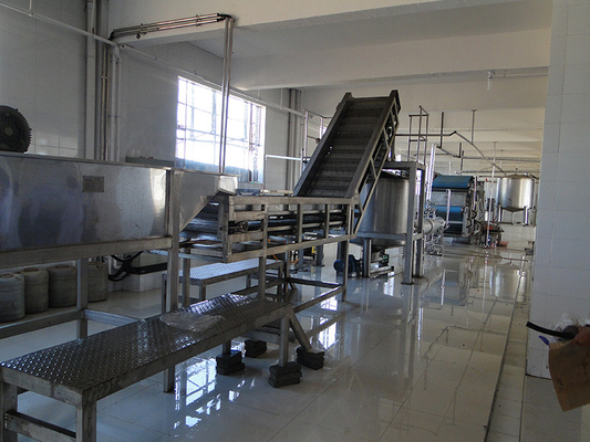 Completa linea di lavorazione di cavolo impianto di produzione di sedano/cavolo/comero attrezzature personalizzate per l'industria ortofrutticola