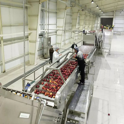Linea di lavorazione di pere completa ad alto costo Impianto di produzione di mele/pere personalizzato Equipaggiamento di succo di pere Macchina per la polpa di pere