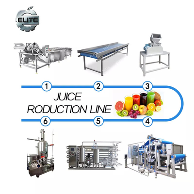 Macchina di lavorazione del latte di cocco/acqua su misura Succo di frutta Press Extractor Machine Production Plant di cocco Linea di lavorazione di succo di frutta
