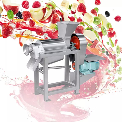 Linea di lavorazione di mirtilli personalizzata ad alte prestazioni impianto di produzione di mirtilli/fresche/raspberri succo di mirtilli/polpa/confettura con PLC