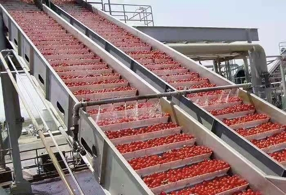 Linea di lavorazione di mirtilli personalizzata ad alte prestazioni impianto di produzione di mirtilli/fresche/raspberri succo di mirtilli/polpa/confettura con PLC