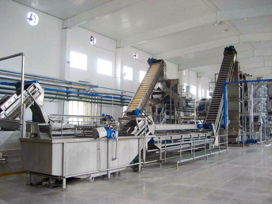 Linea di lavorazione di mirtilli personalizzata ad alte prestazioni impianto di produzione di mirtilli/fresche/raspberri succo di mirtilli/polpa/confettura con PLC