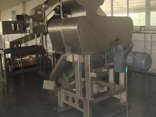 SUS304/316 Linea di lavorazione completa di Pitaya Personalizzata Produttore di Passione/Pitaya/Guava Attrezzature di impianto con PLC per fabbrica di frutta