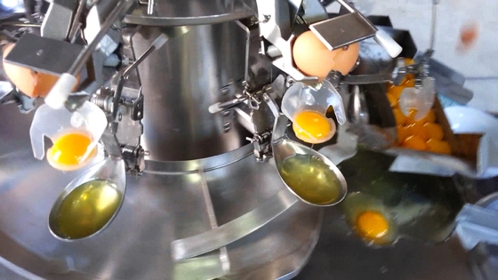 Fabbrica lavaggio automatico di uova frantumazione di uova liquido pasteurizzazione macchina di produzione