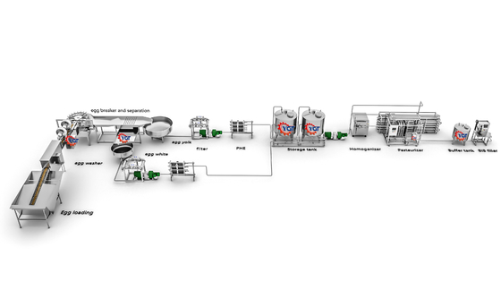 Macchine per la rottura e la separazione delle uova / attrezzature per il processo delle uova liquide
