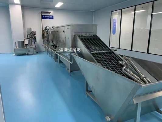 Impianto di lavorazione delle uova liquide con macchine di riempimento con pasteurizzatore di rottura e separazione