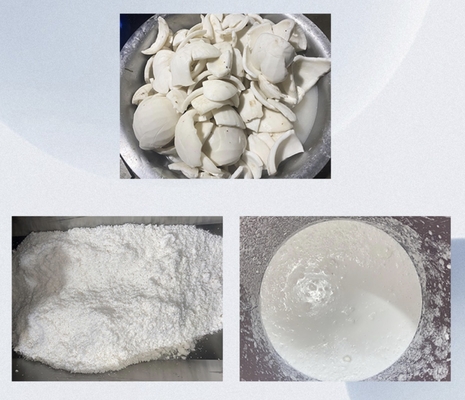 Nuovo estrattore a grande vite per latte di cocco con pressione regolabile ad alto rendimento