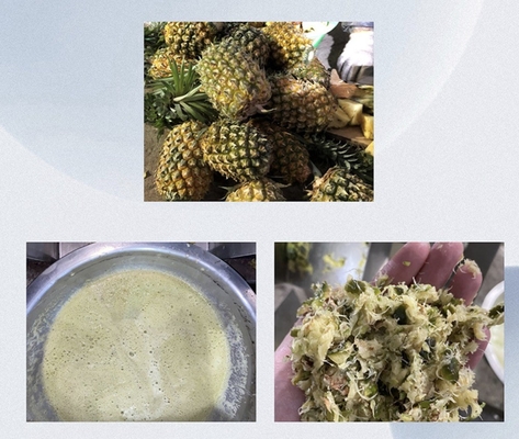 Macchina per il succo di ananas per pressatura a vite