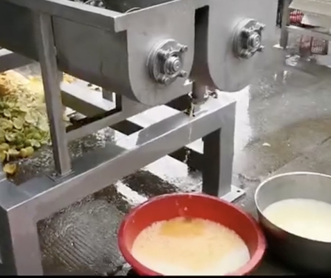 Macchina per il succo di ananas per pressatura a vite