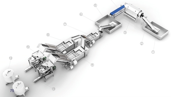 5tph Acai Berry Pulp Processing Plant / Berry Pulp Processing Machine Factory (Fabbrica di macchine per la lavorazione della polpa delle bacche di acai)
