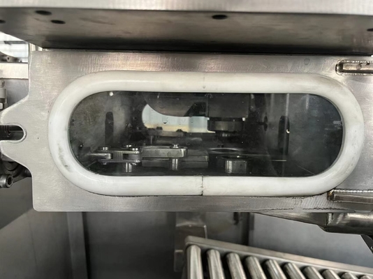 Vendita a caldo Macchina di riempimento ASEPTICA BIB completamente automatica per 1-25L Sacchetto continuo in scatola SUS304/316