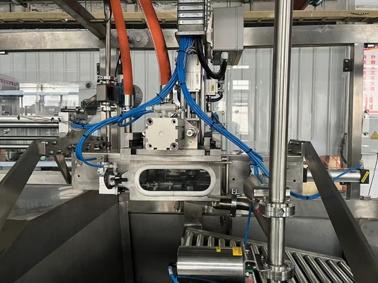 Riempitore BIB aspettico completamente automatico per 2L/10L/20L continuamente in sacchetto con PLC per la macchina di riempimento di succo/latte/olio