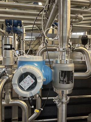 Sterilizzatore per pastorizzazione con capacità da 500 a 20000 litri all'ora in acciaio inossidabile 304 o 316 per la lavorazione di alimenti e bevande