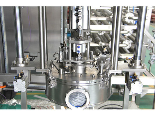 Risparmio economico/efficacia Riempitore assettico a singola o doppia testa 1-220L BID per Ketchup/Succo di frutta/impianto di produzione di latte Sus304