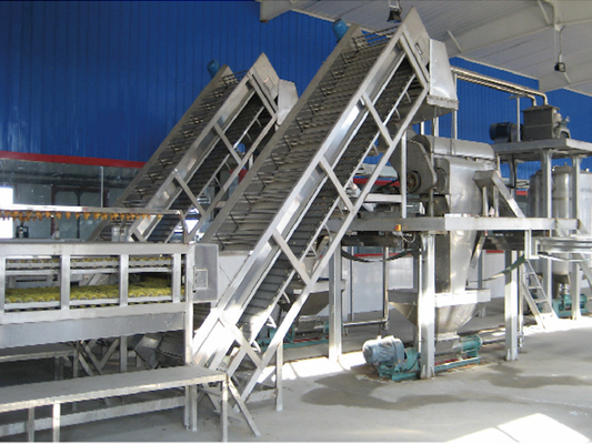 Linea completa di lavorazione del frutto della passione Passion Fruit/Pitaya/Guava Production Plant Machine con PLC per l'industria della frutta SUS304/316