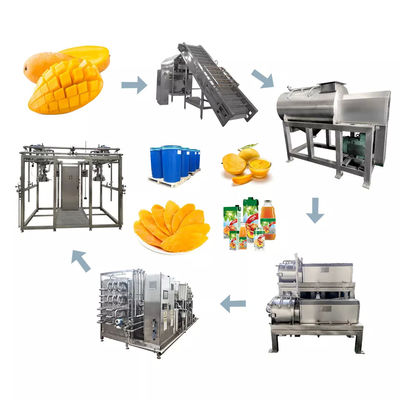 Servizio unico Linea di lavorazione del mango su misura 1000-30000l/h Macchina per il succo/salsa/gomma di mango con attrezzature PLC per la polpa di mango